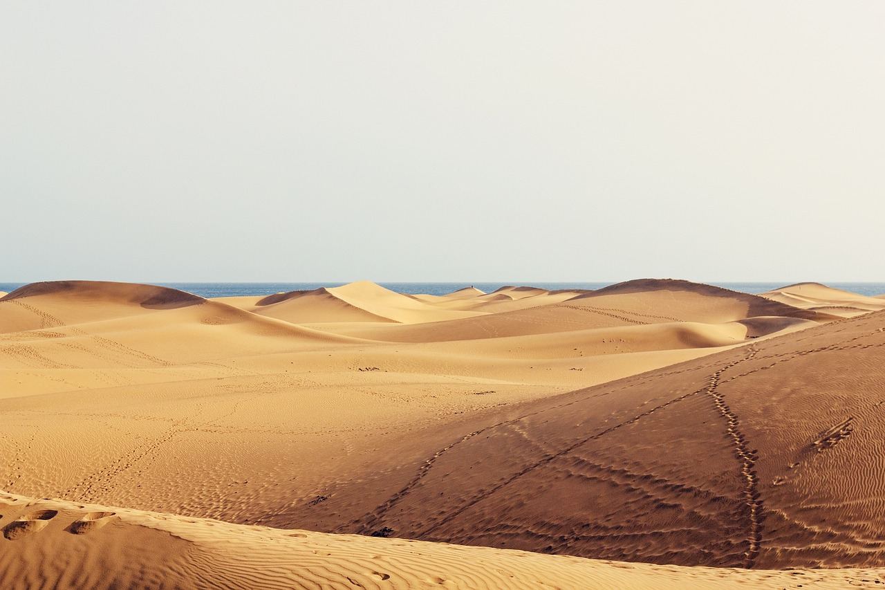 Dünen von Maspalomas, Gran Canaria
